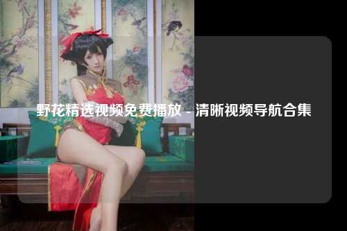 野花精选视频免费播放 - 清晰视频导航合集